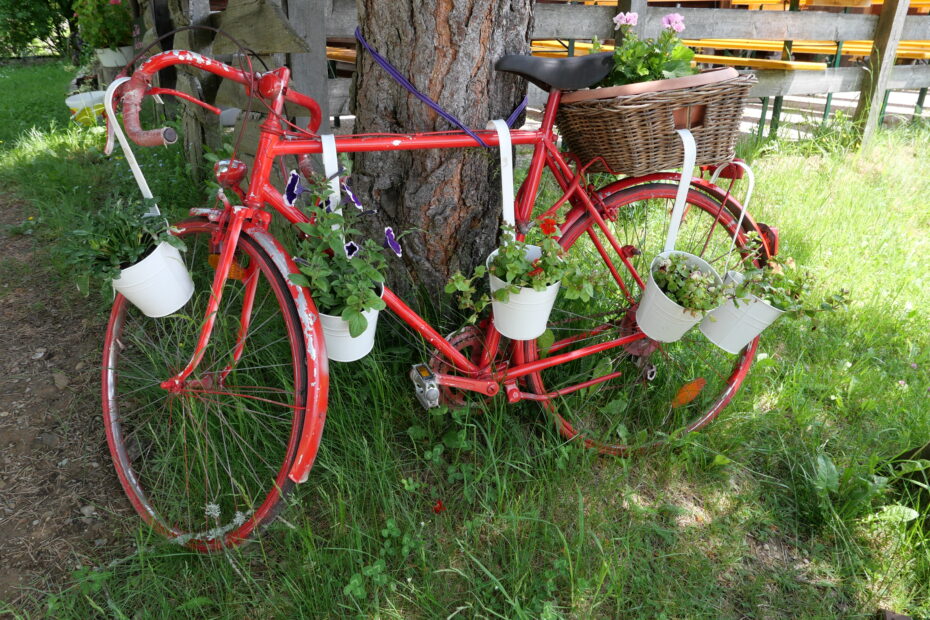 Rad mit Blumen dekoriert